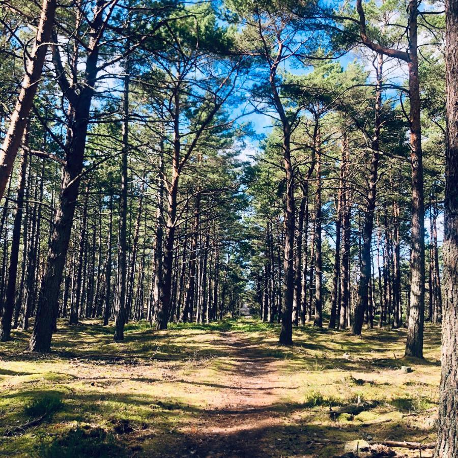 Piekny Domek Z Duzym Ogrodem Kopalino Esterno foto